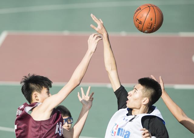BD高清免费观看
