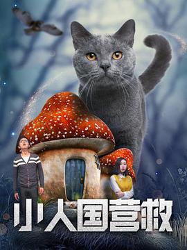 超清HD高清在线观看