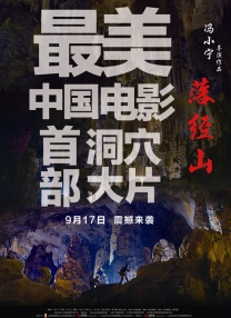 1080P手机在线看
