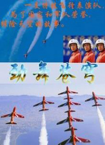高清蓝光在线观看